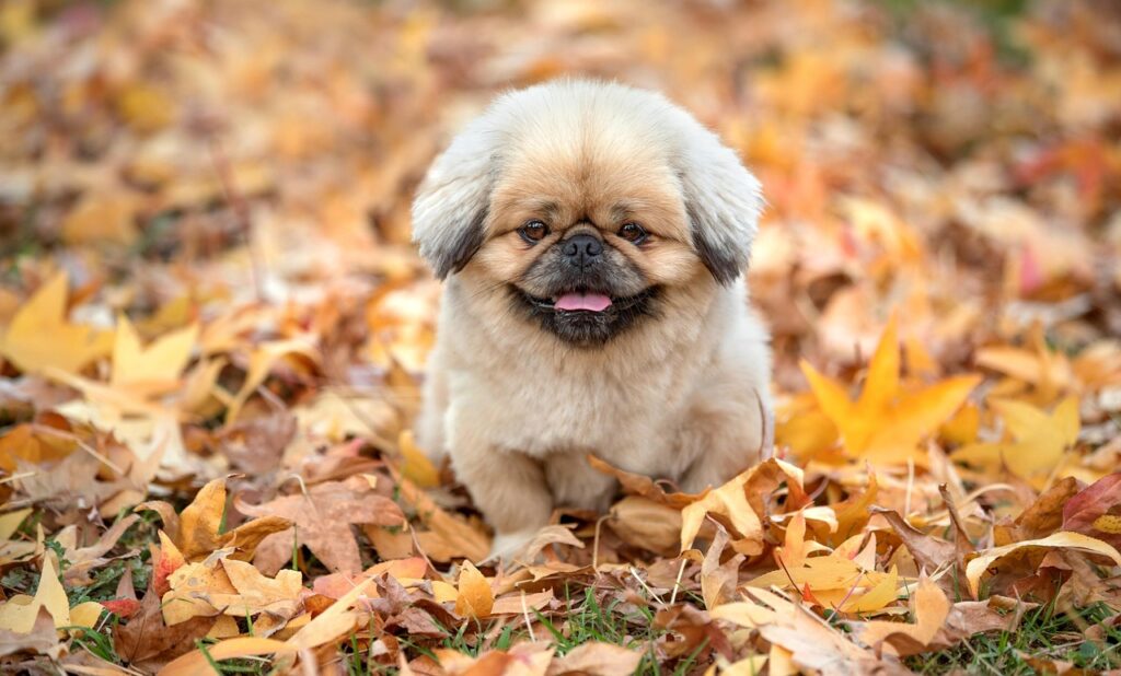 ヒゲ脱毛を受けるなら学割を利用するべき理由は？