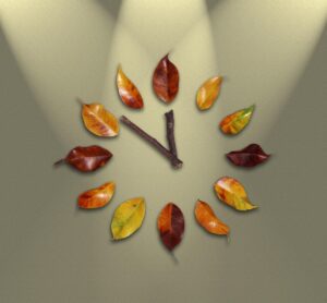 ヒゲ脱毛の経過はどのように進むのが一般的ですか？