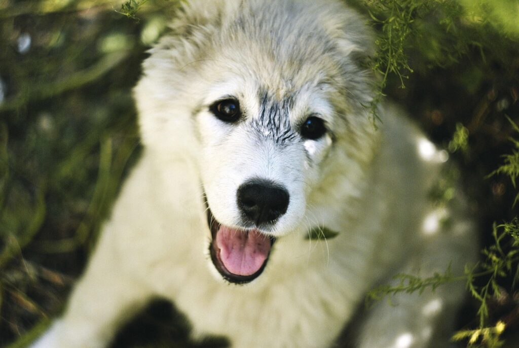 学割を利用したメンズ脱毛のメリットは？