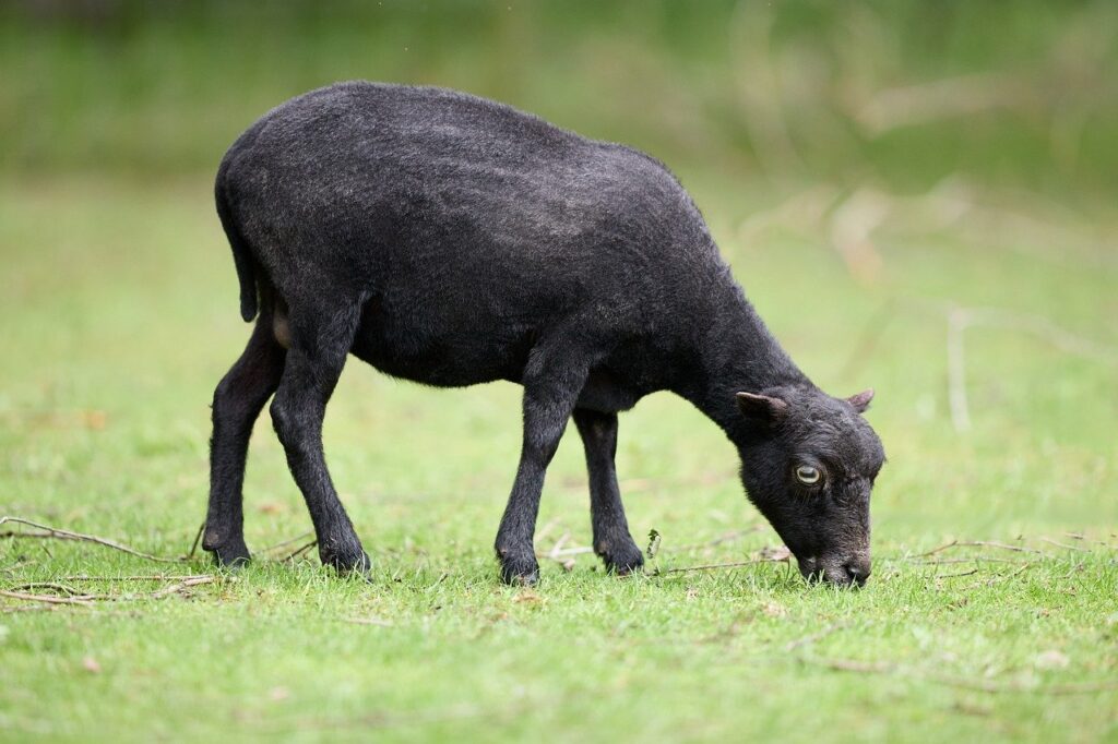 髭剃った後のケアで肌を守るためのポイントは？
