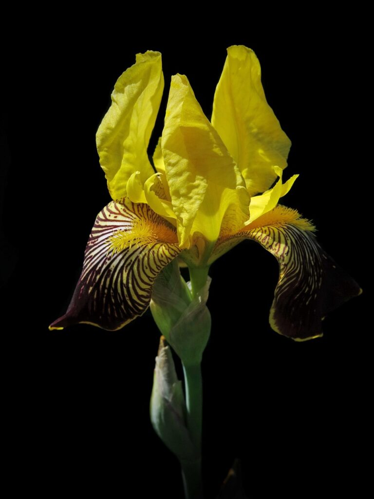 ヒゲ脱毛後に髭剃りにくい理由と対処法は？