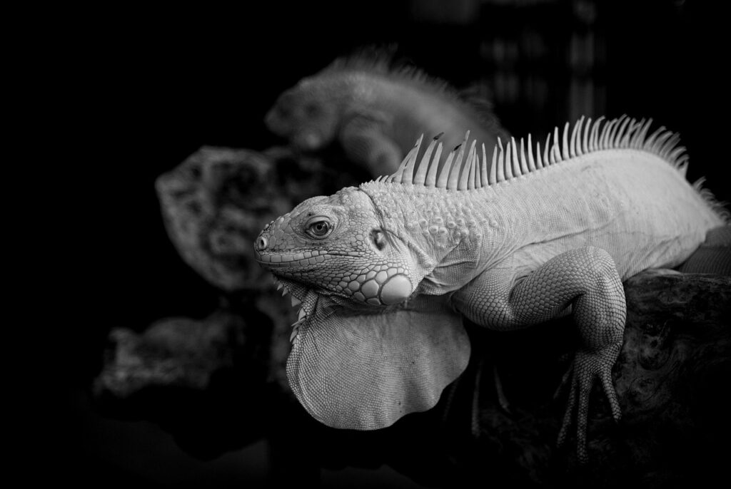 脱毛後に髭剃りにくい理由と対処法は？