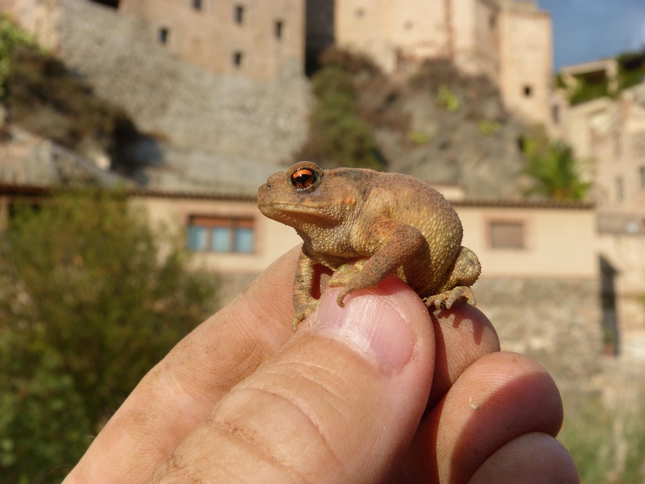 髭脱毛後の肌荒れを防ぐための対策は？