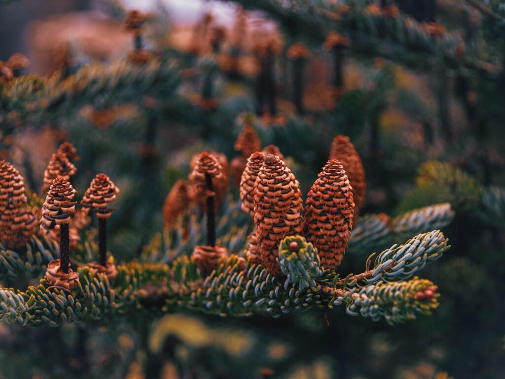 髭脱毛4回目の効果はどれくらい実感できるの？