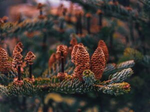 髭脱毛4回目の効果はどれくらい実感できるの？