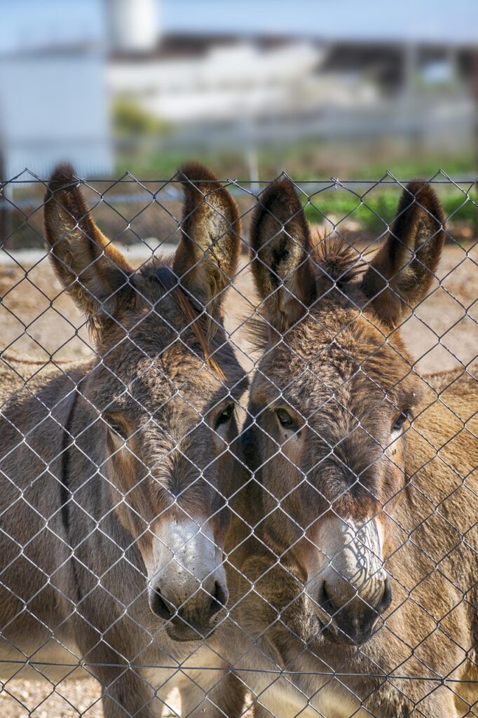 ヒゲの医療脱毛施術後にクレンジングは必要ですか？