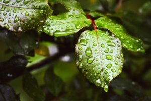 ヒゲの医療脱毛施術前に保湿していいの？