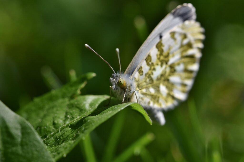 ヒゲのまだら生えに悩む人必見！医療脱毛での対策は？