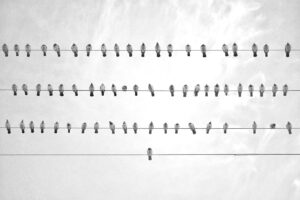 ヒゲの医療脱毛は面接での印象にどのように変化をもたらす？