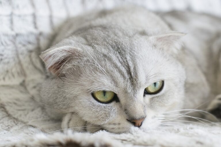ヒゲ脱毛はメンズにどの方法がおすすめ？