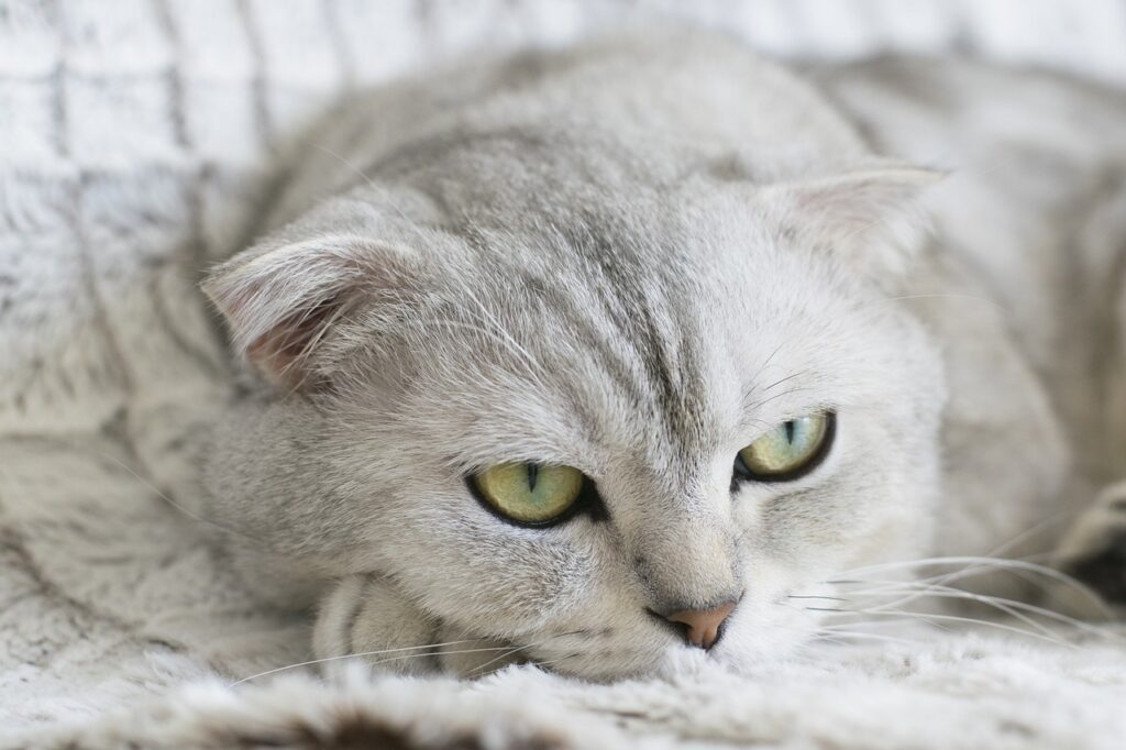 ヒゲ脱毛はメンズにどれほどの効果があるの？